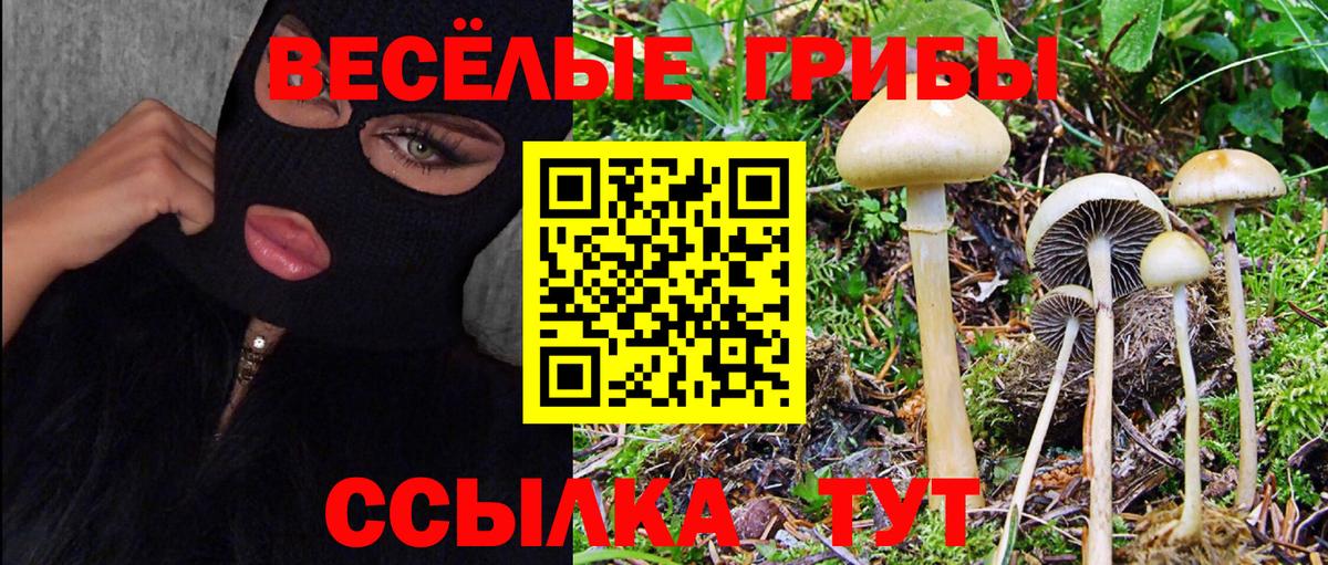 Псилоцибиновые грибы Cubensis Выкса