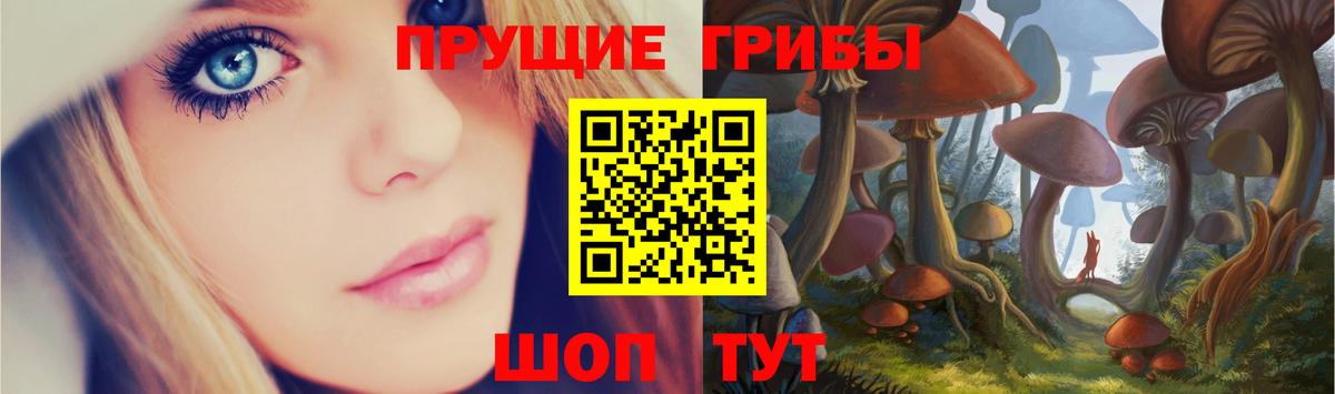 Псилоцибиновые грибы ЛСД  Галлюциногенные грибы Psilocybine cubensis  Выкса  Вход с VPN 